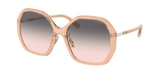 Солнцезащитные очки Coach C9204 HC8343 5561U8