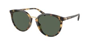 Солнцезащитные очки Coach CR646 HC8399U 517171