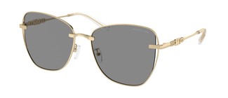 Солнцезащитные очки Michael Kors Beijing MK1158D 10143F