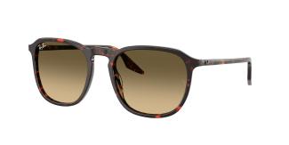 Солнцезащитные очки Ray-Ban RB2203 14290A