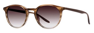 Солнцезащитные очки Barton Perreira Princeton DES/SMT BP40001I 50F