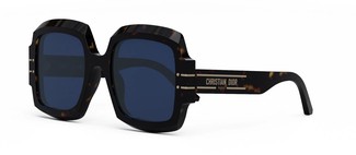 Солнцезащитные очки DIOR DiorSignature S1U 20B0 CD40049U 52V