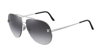 Cartier null CT0065S 003