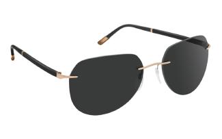 Солнцезащитные очки Silhouette SUN C-2 8709 3520