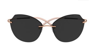 Солнцезащитные очки Silhouette Silhouette 8158 3630