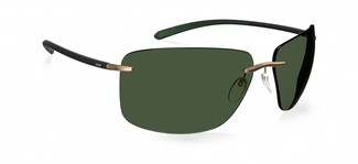 Солнцезащитные очки Silhouette Silhouette 8728 7630