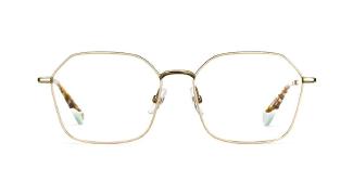 Оптическая оправа Etnia Barcelona 4 BRICK2 55O BEGD