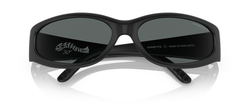 Солнцезащитные очки Arnette AN4302 275881 купить в Москве