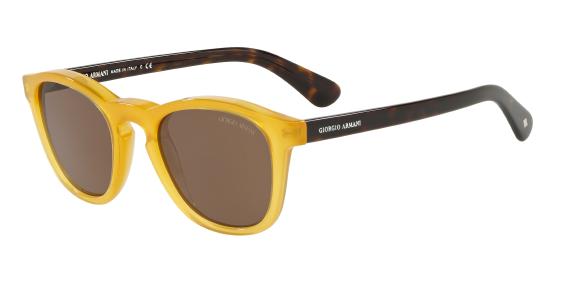 Giorgio Armani AR8112 502773