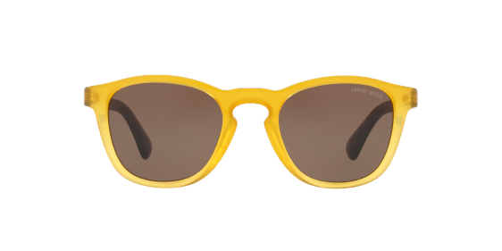 Giorgio Armani AR8112 502773