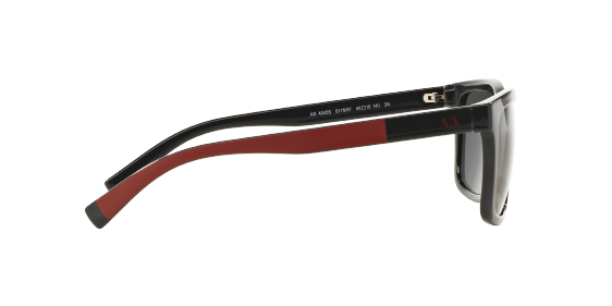 AX4045S 817687