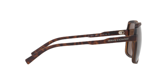 Ax4066s 2025