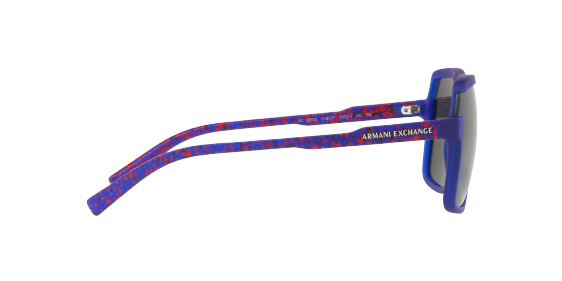 AX4066S 818387