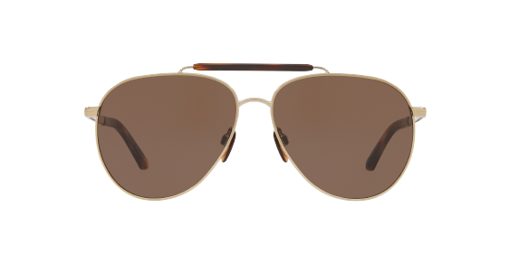 Burberry 3097 Sunglasses 11455W Brown Men