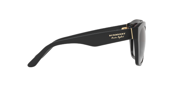 Burberry sunglasses be4261 store