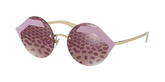 Bv6089 online