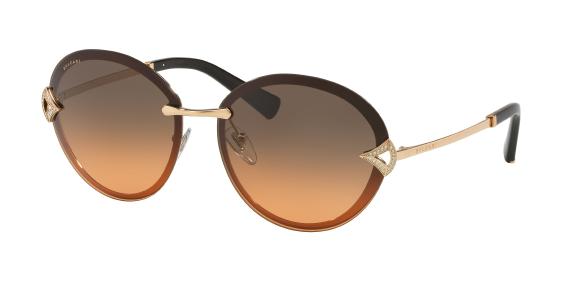 Bv6101b online