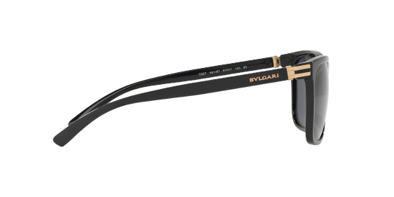 Bv7027 2025