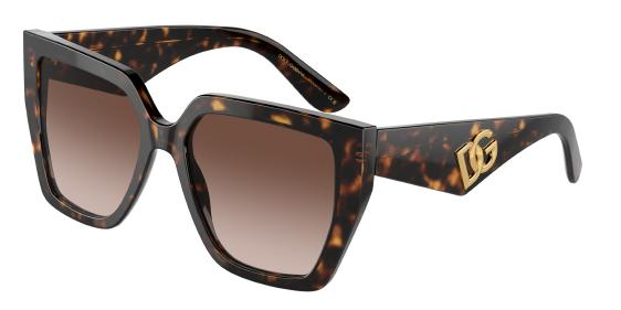 Dolce Gabbana DG4438 502 13