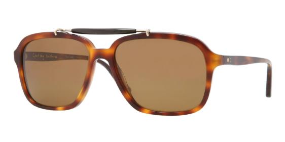 Paul smith walton sunglasses hot sale
