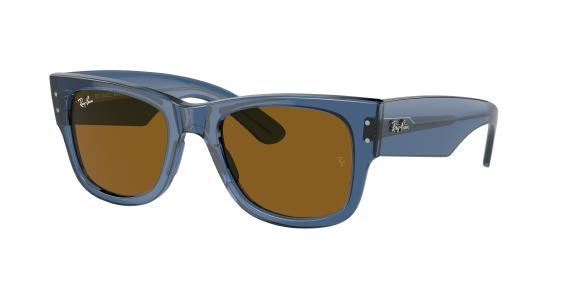 Wayfarer sunglasses price online