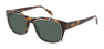 Солнцезащитные очки McQueen AM0262S 002