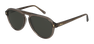 Солнцезащитные очки Brioni BR0085S 004
