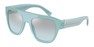 Солнцезащитные очки Dolce & Gabbana DG4398F 31347C
