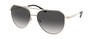 Солнцезащитные очки Michael Kors Cheyenne MK1109 10148G