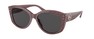 Солнцезащитные очки Michael Kors Charleston MK2175U 392387
