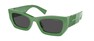 Солнцезащитные очки Miu Miu MU 09WS 19C5S0