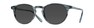 Солнцезащитные очки Oliver Peoples Riley Sun OV5004SU 1704R5