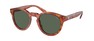 Солнцезащитные очки Polo PH4184 544971