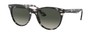 Солнцезащитные очки Ray-Ban Wayfarer II RB2185 133371
