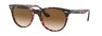 Солнцезащитные очки Ray-Ban Wayfarer II RB2185 133451
