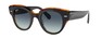 Солнцезащитные очки Ray-Ban Roundabout RB2192 132241