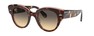 Солнцезащитные очки Ray-Ban Roundabout RB2192 1324BG