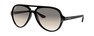 Солнцезащитные очки Ray-Ban Cats 5000 RB4125 601/32