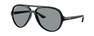 Солнцезащитные очки Ray-Ban Cats 5000 RB4125 601/R5