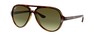 Солнцезащитные очки Ray-Ban Cats 5000 RB4125 710/A6