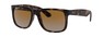 Солнцезащитные очки Ray-Ban Justin RB4165 865/T5
