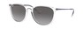 Солнцезащитные очки Ray-Ban Erika RB4171 651611