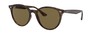 Солнцезащитные очки Ray-Ban RB4305 710/73