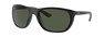 Солнцезащитные очки Ray-Ban RB4307 601/71
