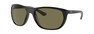 Солнцезащитные очки Ray-Ban RB4307 601/9A