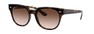 Солнцезащитные очки Ray-Ban Blaze Meteor RB4368N 710/13