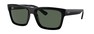 Солнцезащитные очки Ray-Ban Warren RB4396 667771