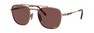 Солнцезащитные очки Ray-Ban Frank II Titanium RB8258 3140AF