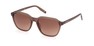 Солнцезащитные очки Zegna EZ0194 49F