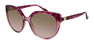 Солнцезащитные очки Naf Naf Dafne Mauve
